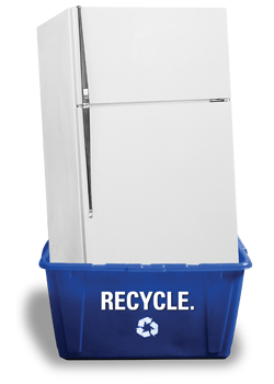 Fridge Recycle